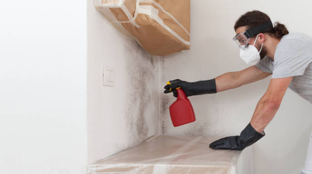 Professional Attic Mold Removal technician working in East Norwich, NY