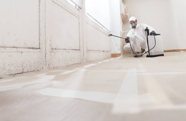 24/7 Emergency Attic Mold Removal experts in East Norwich, NY