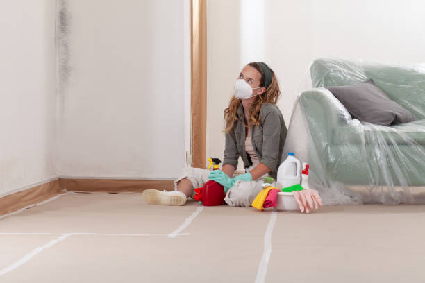 Reliable Attic Mold Removal contractor in East Norwich, NY by WQB Mold Removal